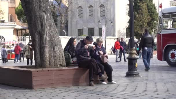 Istanbul Sultanahmet Square Les Gens Marchent Reposant Sur Banc Turquie — Video