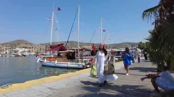 ボートやヨットとのドラム盛土 トルコボドルム2021年8月 — ストック動画