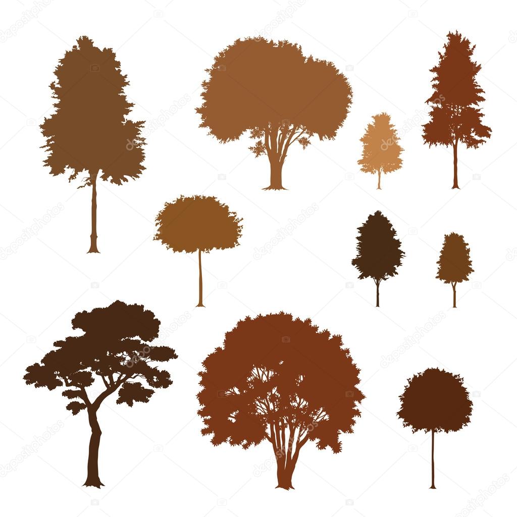 Collection of trees silhouettes
