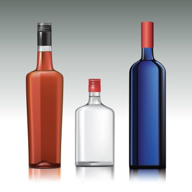 alkol şişeleri