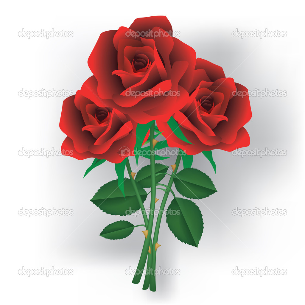 Red roses Stock Vector Image by ©Route55 #51438609