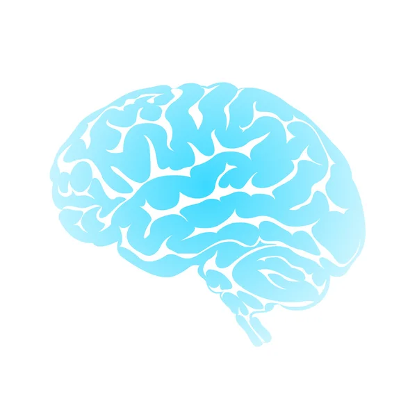 Cerveau bleu humain — Image vectorielle