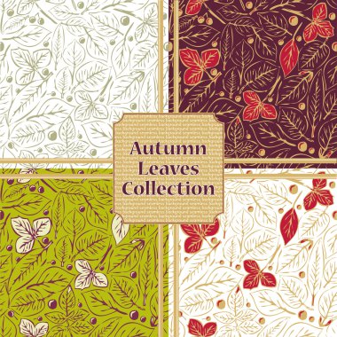 yaprak ve meyveleri ile vektör desen