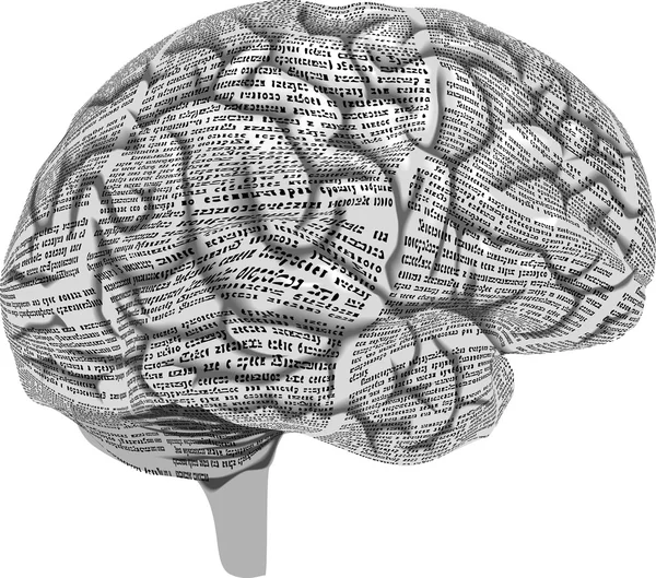 Human brain of newspaper columns — Stock Vector