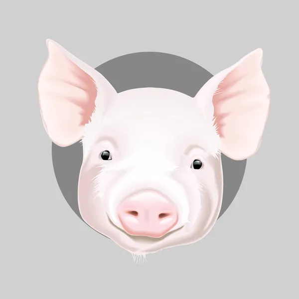 Cerdito. — Vector de stock