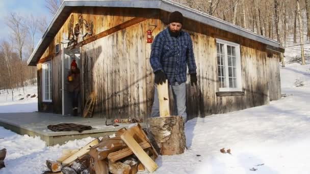 Lumberjack uppdelning loggar — Stockvideo