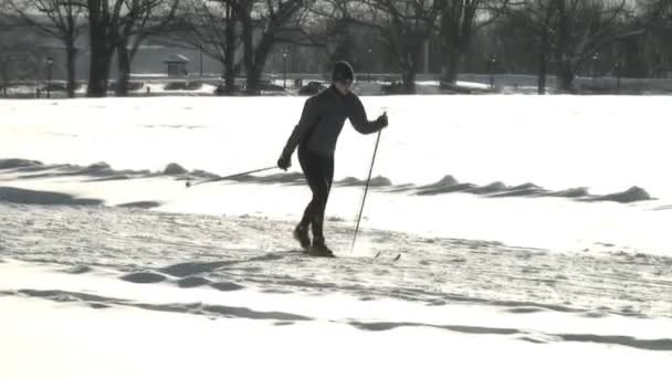 Cross country Skier — Stock Video