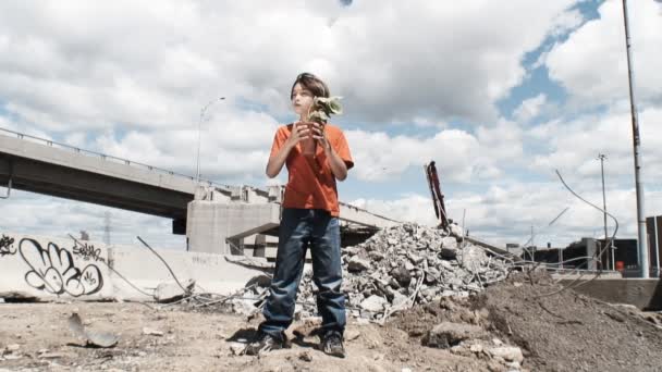 Мальчик держит растение — стоковое видео