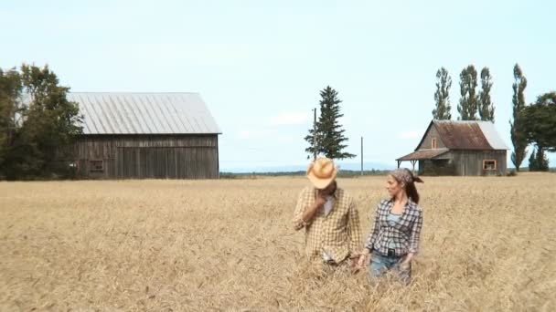 Pareja caminando en un campo de maíz — Vídeo de stock