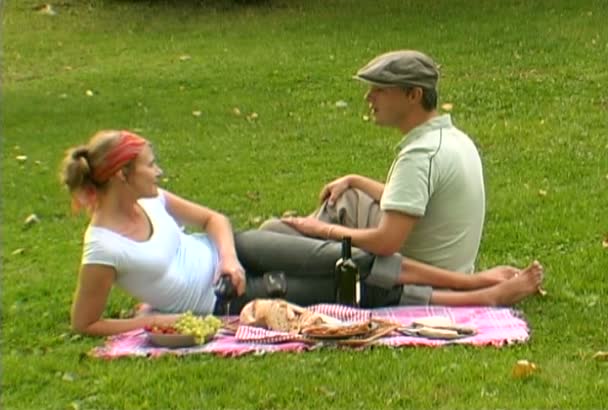 Picknick i parken — Stockvideo