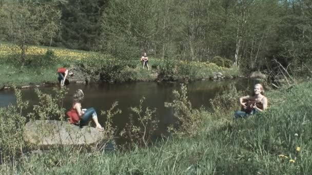 Frühling am Fluss — Stockvideo