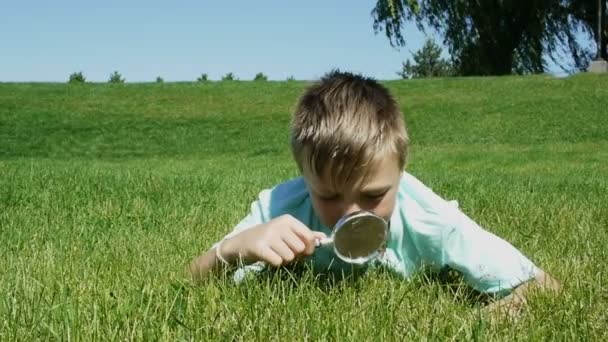 Buscando la Naturaleza — Vídeo de stock