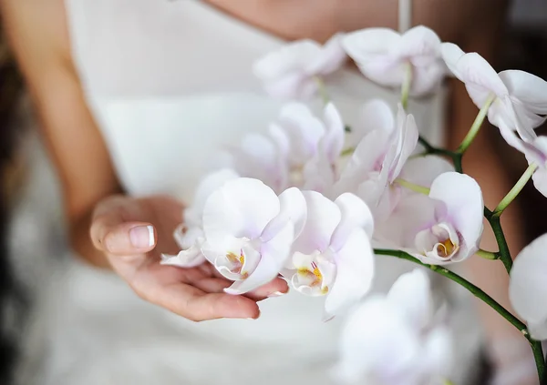 Flor de casamento — Fotografia de Stock