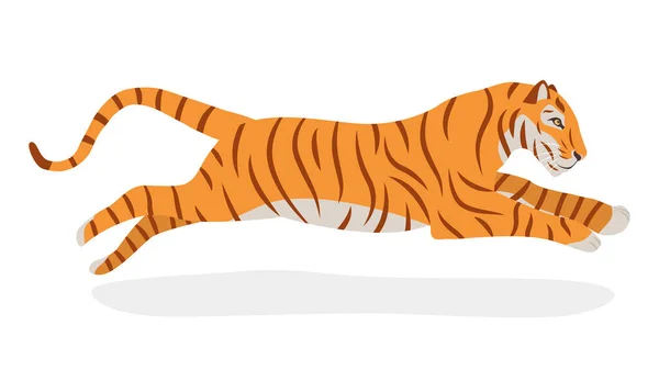 Tiger jumping. Isolated on a white background. Side view. The symbol of 2022. Chinese New Year. Vector. Cartoon style — Stock Vector