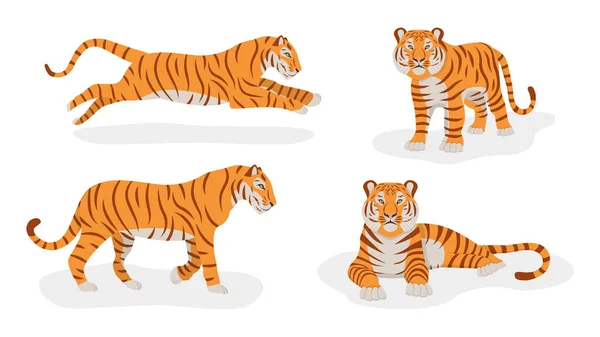 Fehér alapon izolált tigrisek. Elölről és oldalról is. 2022 jelképe. Kínai újév. Vektor. Rajzfilm stílus — Stock Vector