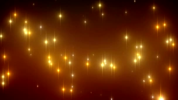 VID - Lumières particulières II 