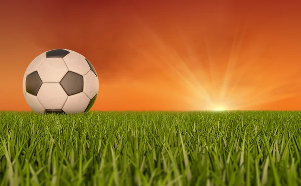 Fotboll på grönt gräs på morgonen — Stockfoto