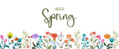 Afiş ya da çiçek arkaplanı parlak renkli çiçek ve yapraklarla süslenmiş. Dekoratif doğal arkaplan için el çizimi botanik çizimi