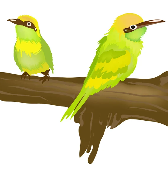 Two tropical birds — Stock Photo, Image