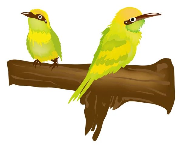 Green birds — Stock Vector