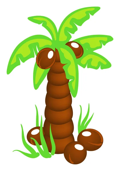 Cocopalm boom — Stockvector