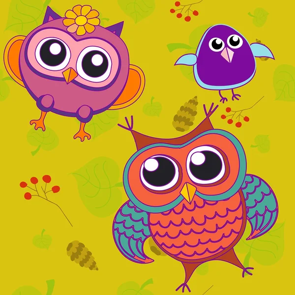 Owl birds — Stock Photo, Image