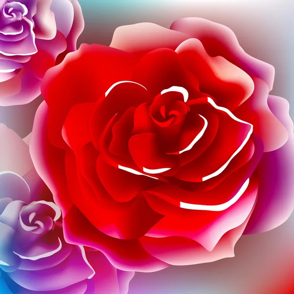 Rose flower — Stock Photo, Image