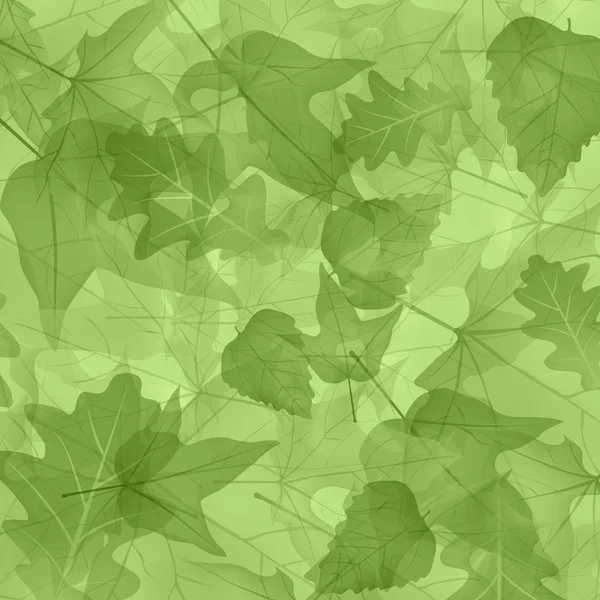 Feuilles de plantes — Photo