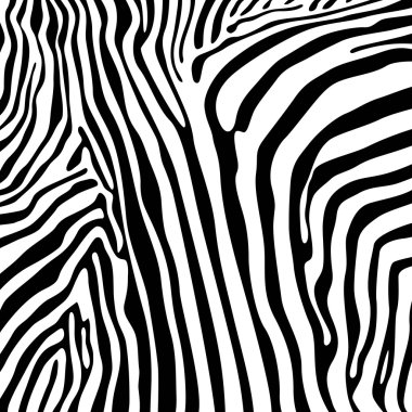 Zebra dokular