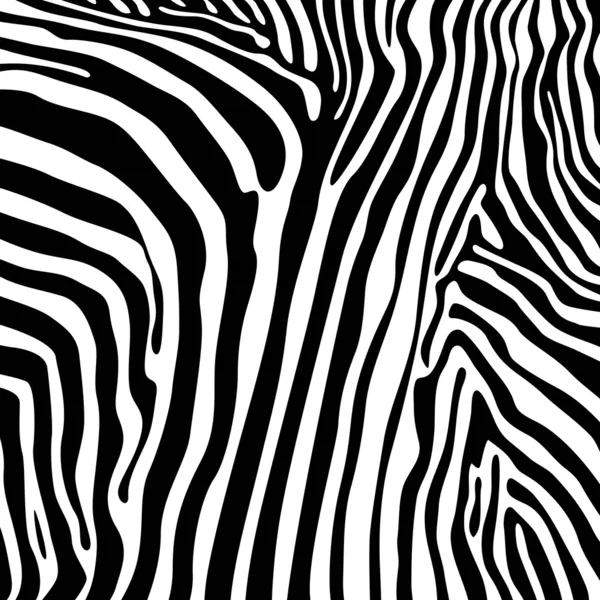 Zebra textures — Stock Vector