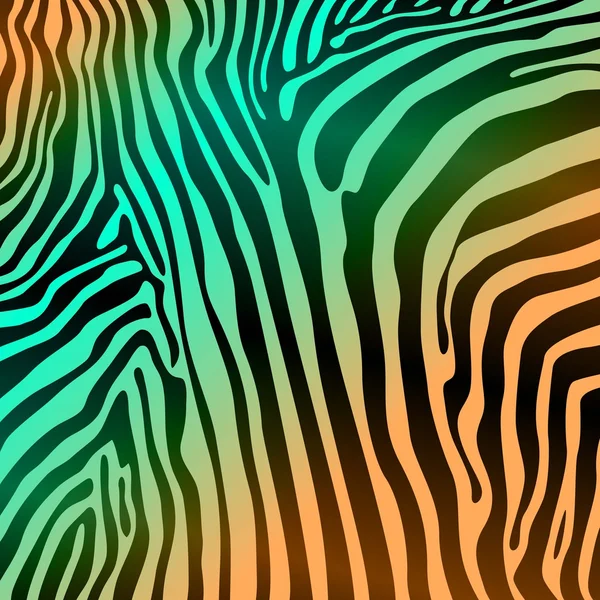 Zebra textúrák — Stock Vector