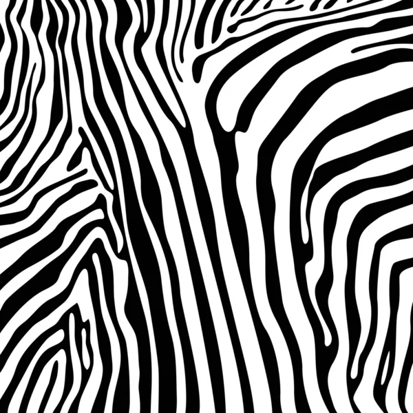 Zebra textury — Stockový vektor