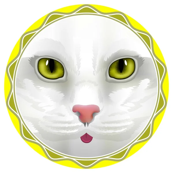 猫サークル — ストックベクタ