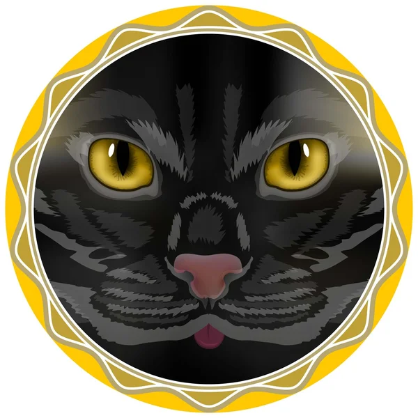 猫サークル — ストックベクタ