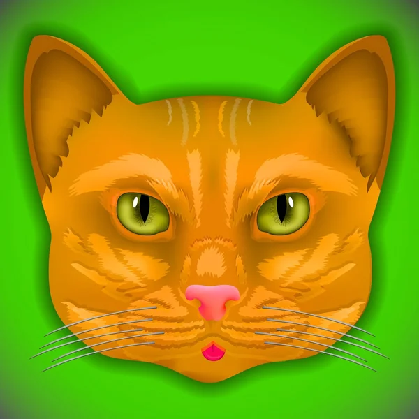 猫の色頭 — ストックベクタ