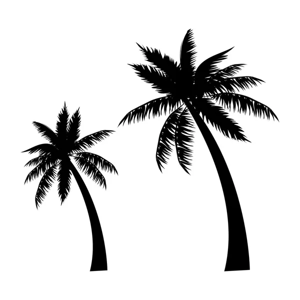 Tropische palmbomen, zwart — Stockvector