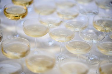 Kadehlerimizi önemli bir olaya ya da törene kaldırmaya hazır olalım.