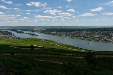 Güneşin güzel bir günde vadiyi aydınlattığı yürüyüş parkurundan Almanya 'nın Bingen am Rhein manzarası