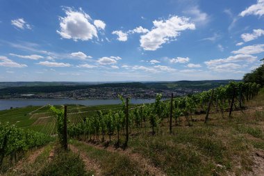 Güneşin güzel bir günde vadiyi aydınlattığı yürüyüş parkurundan Almanya 'nın Bingen am Rhein manzarası