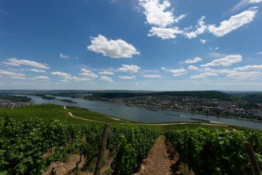 Güneşin güzel bir günde vadiyi aydınlattığı yürüyüş parkurundan Almanya 'nın Bingen am Rhein manzarası