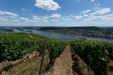 Güneşin güzel bir günde vadiyi aydınlattığı yürüyüş parkurundan Almanya 'nın Bingen am Rhein manzarası
