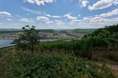 Güneşin güzel bir günde vadiyi aydınlattığı yürüyüş parkurundan Almanya 'nın Bingen am Rhein manzarası
