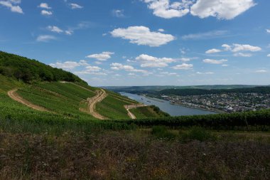 Güneşin güzel bir günde vadiyi aydınlattığı yürüyüş parkurundan Almanya 'nın Bingen am Rhein manzarası