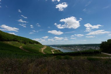 Güneşin güzel bir günde vadiyi aydınlattığı yürüyüş parkurundan Almanya 'nın Bingen am Rhein manzarası