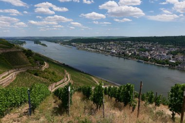 Güneşin güzel bir günde vadiyi aydınlattığı yürüyüş parkurundan Almanya 'nın Bingen am Rhein manzarası