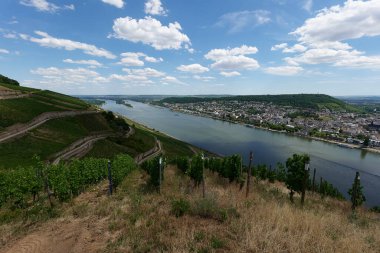 Güneşin güzel bir günde vadiyi aydınlattığı yürüyüş parkurundan Almanya 'nın Bingen am Rhein manzarası