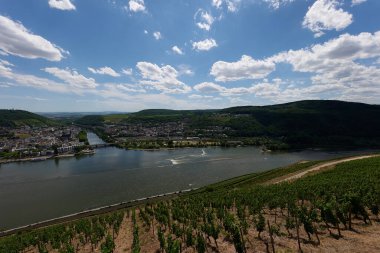 Güneşin güzel bir günde vadiyi aydınlattığı yürüyüş parkurundan Almanya 'nın Bingen am Rhein manzarası
