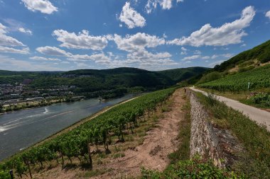 Güneşin güzel bir günde vadiyi aydınlattığı yürüyüş parkurundan Almanya 'nın Bingen am Rhein manzarası