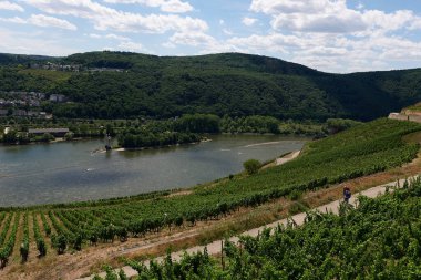 Güneşin güzel bir günde vadiyi aydınlattığı yürüyüş parkurundan Almanya 'nın Bingen am Rhein manzarası