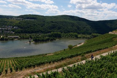 Güneşin güzel bir günde vadiyi aydınlattığı yürüyüş parkurundan Almanya 'nın Bingen am Rhein manzarası